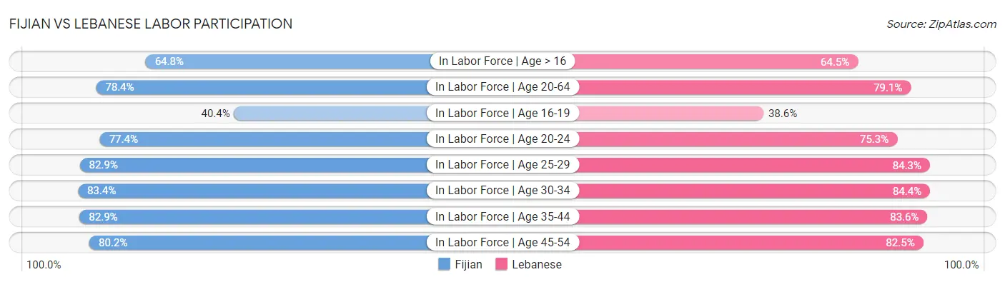 Fijian vs Lebanese Labor Participation