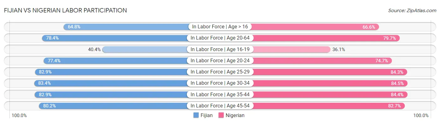 Fijian vs Nigerian Labor Participation