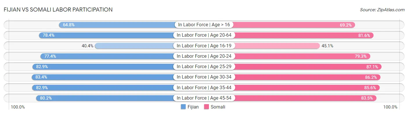 Fijian vs Somali Labor Participation