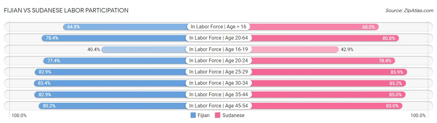 Fijian vs Sudanese Labor Participation