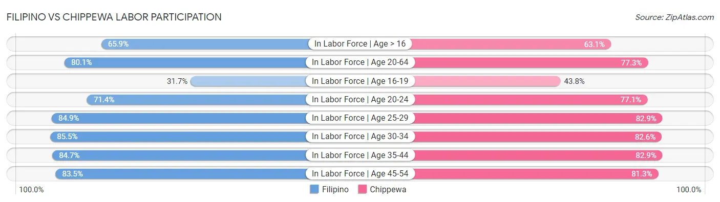Filipino vs Chippewa Labor Participation