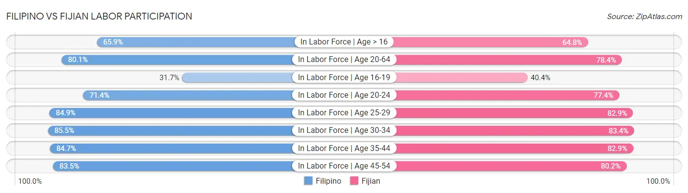 Filipino vs Fijian Labor Participation