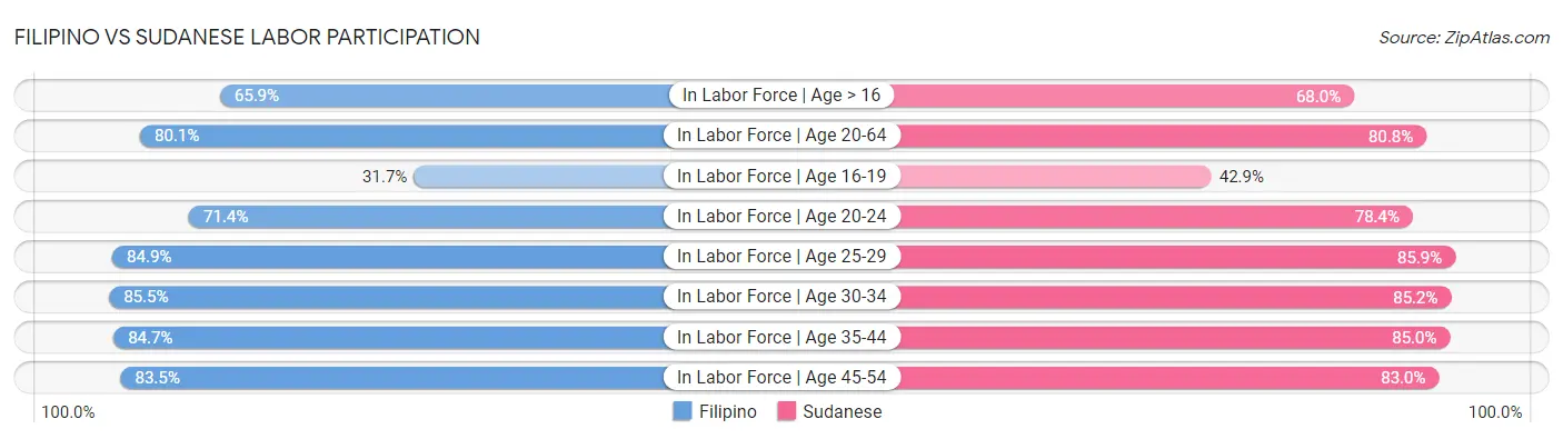 Filipino vs Sudanese Labor Participation