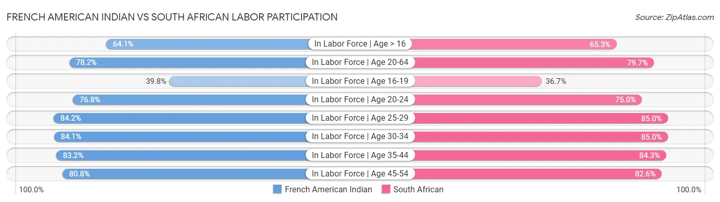 French American Indian vs South African Labor Participation