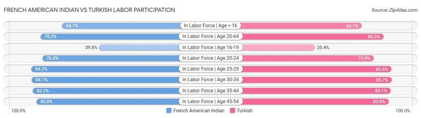 French American Indian vs Turkish Labor Participation