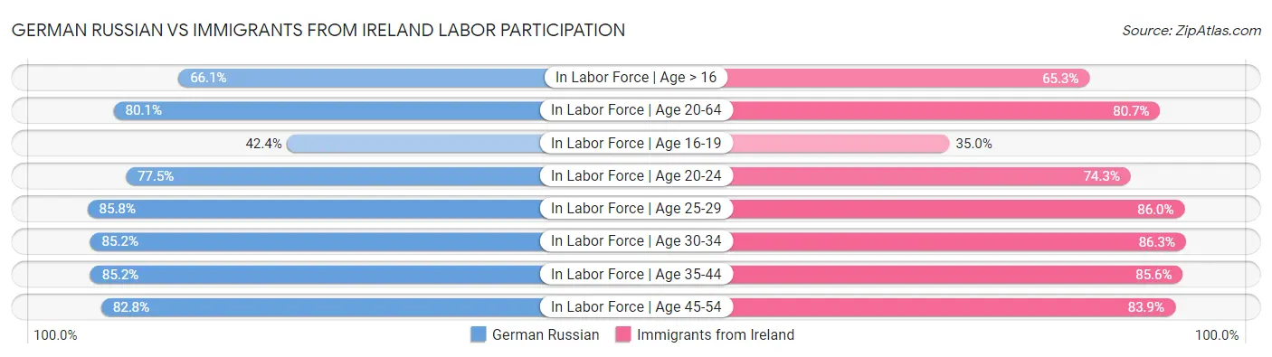 German Russian vs Immigrants from Ireland Labor Participation