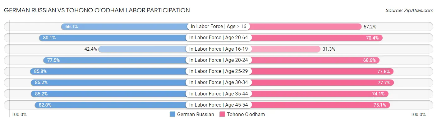 German Russian vs Tohono O'odham Labor Participation
