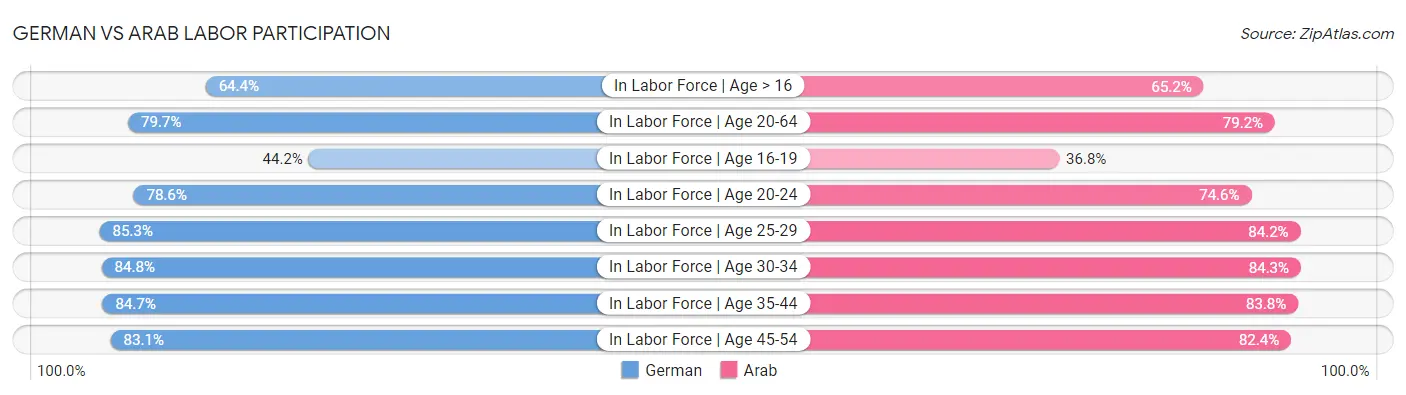 German vs Arab Labor Participation