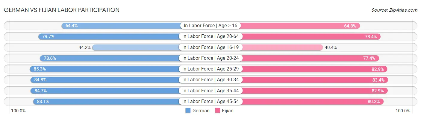 German vs Fijian Labor Participation