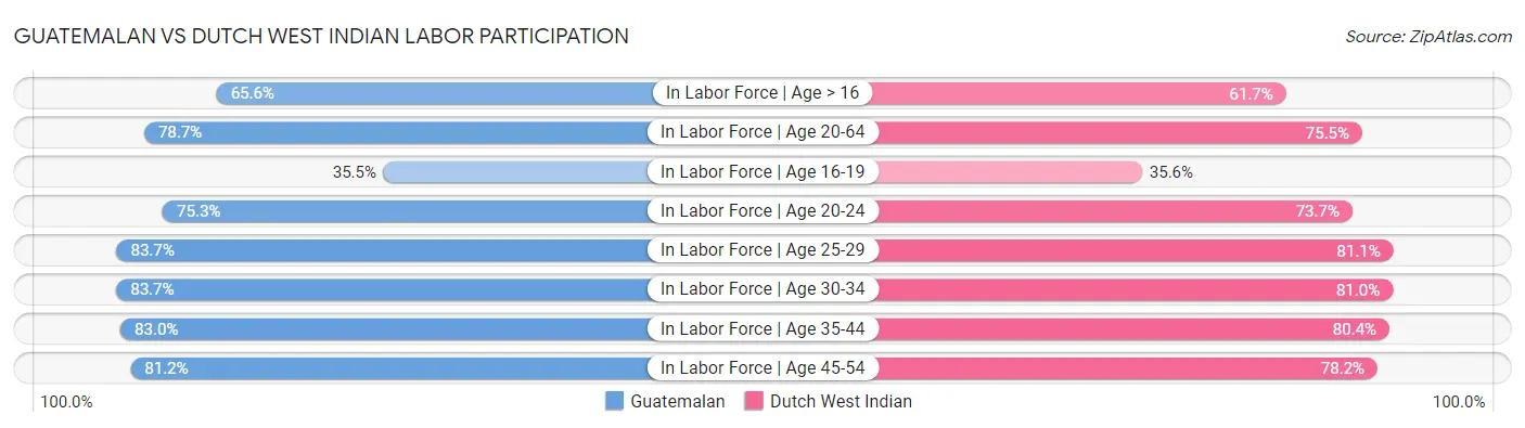 Guatemalan vs Dutch West Indian Labor Participation