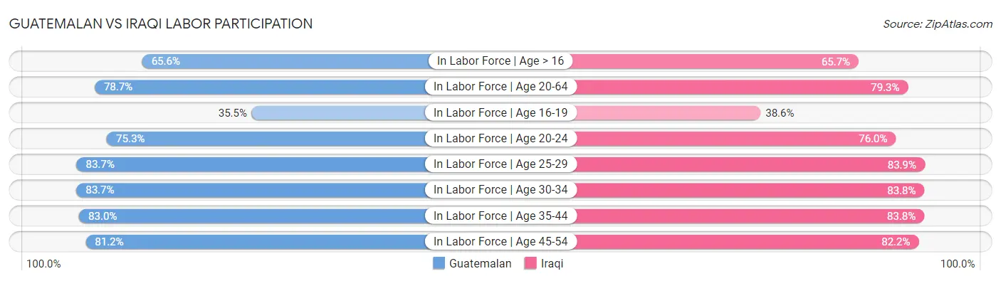 Guatemalan vs Iraqi Labor Participation