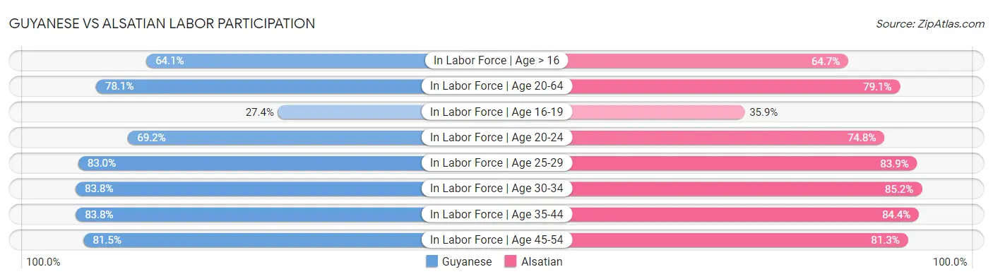 Guyanese vs Alsatian Labor Participation