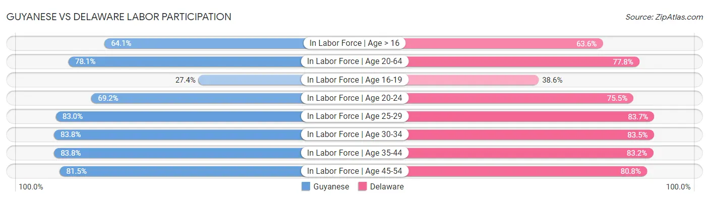 Guyanese vs Delaware Labor Participation