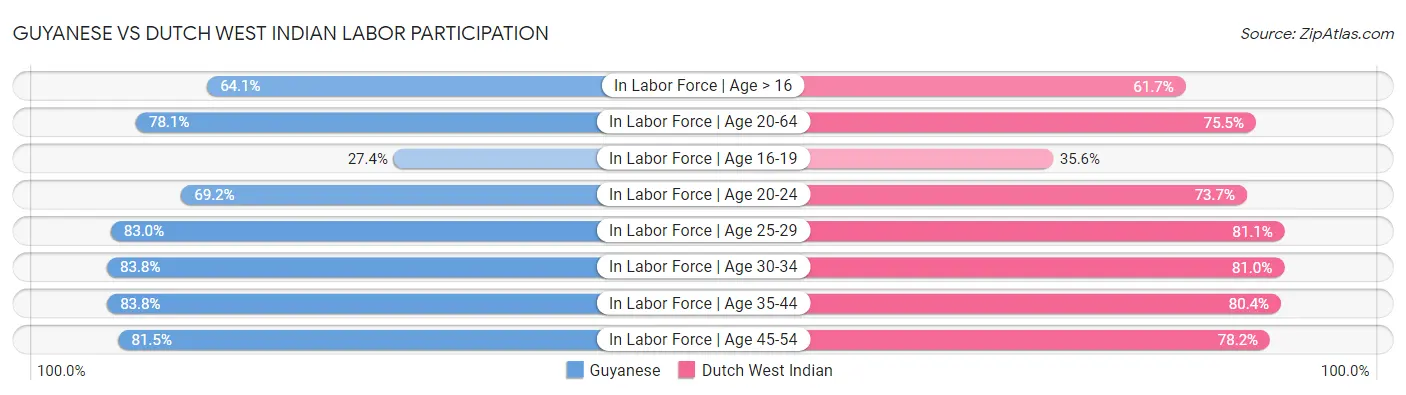 Guyanese vs Dutch West Indian Labor Participation
