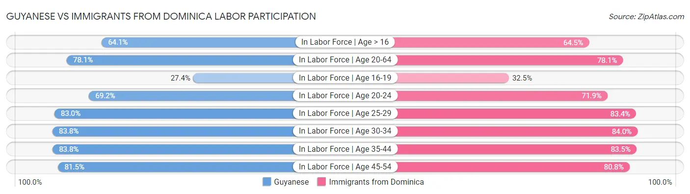 Guyanese vs Immigrants from Dominica Labor Participation