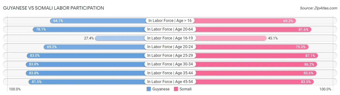 Guyanese vs Somali Labor Participation