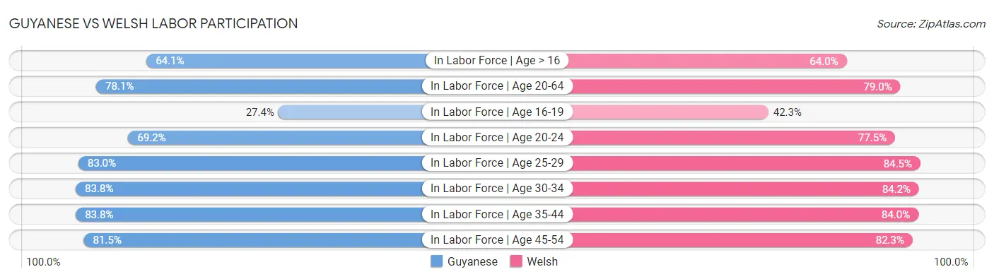 Guyanese vs Welsh Labor Participation