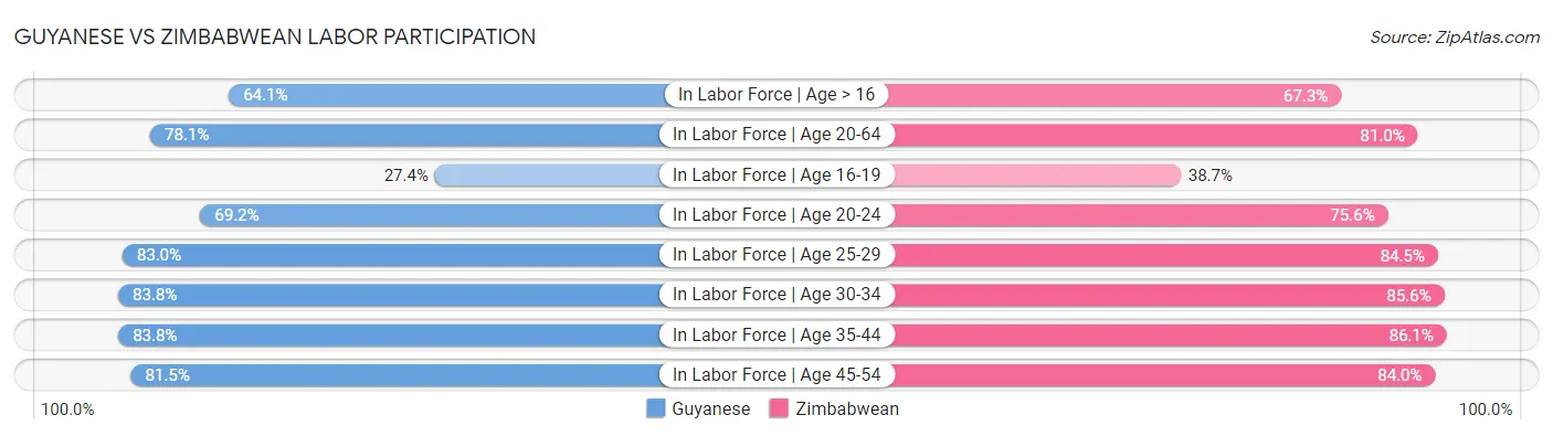 Guyanese vs Zimbabwean Labor Participation