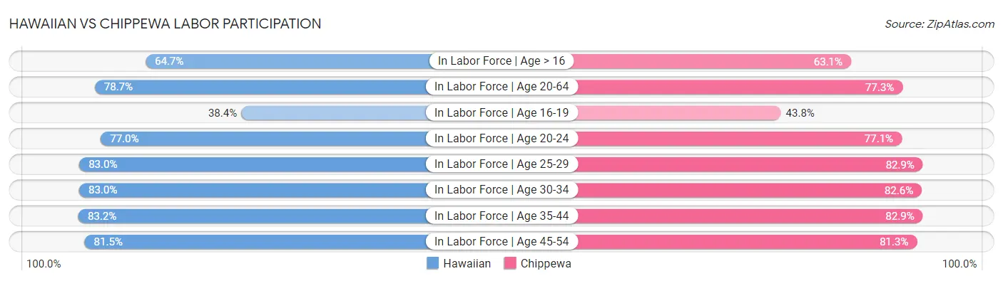 Hawaiian vs Chippewa Labor Participation