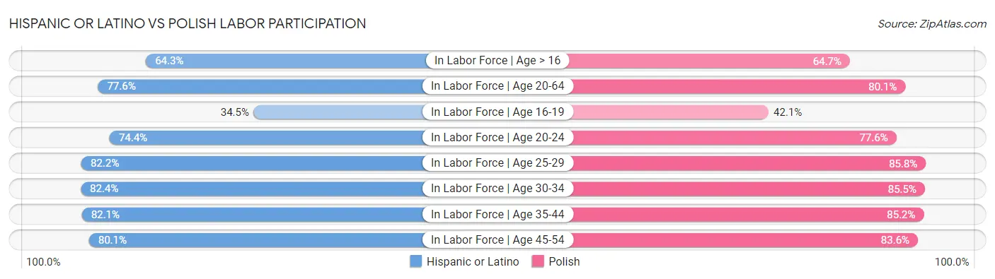 Hispanic or Latino vs Polish Labor Participation