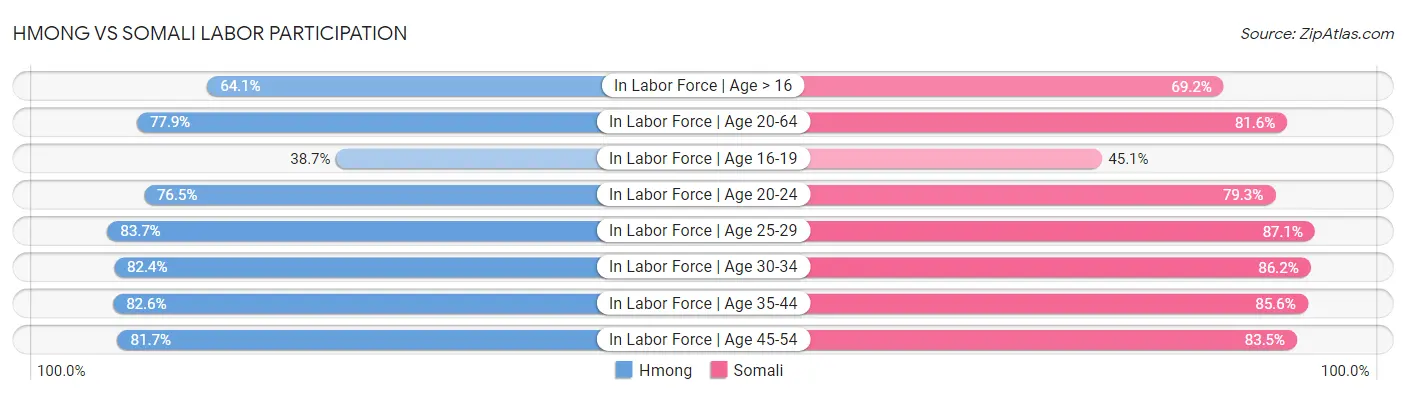 Hmong vs Somali Labor Participation