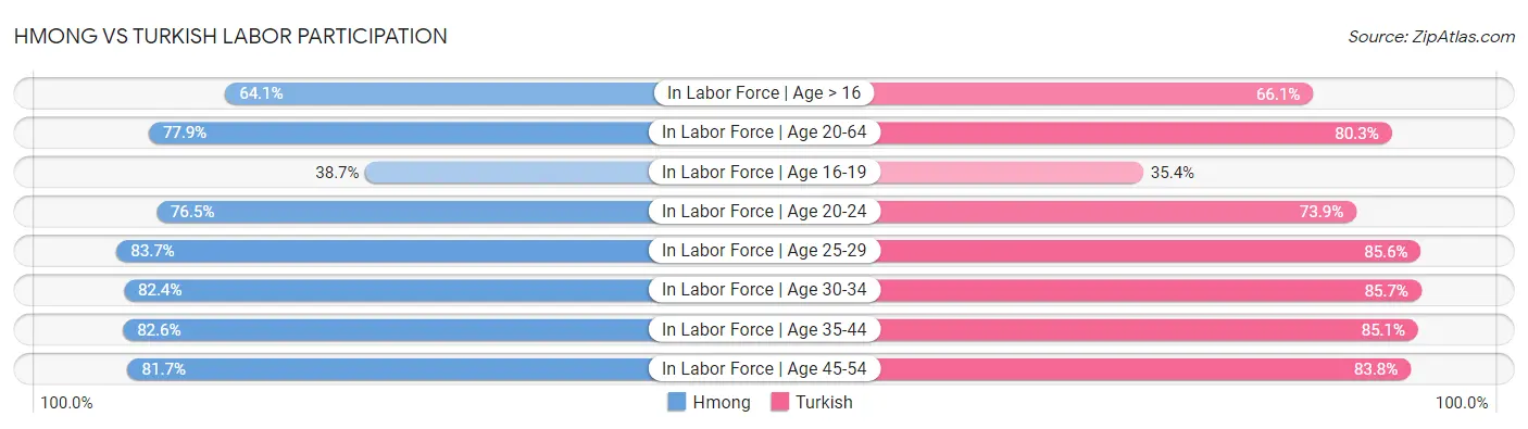 Hmong vs Turkish Labor Participation