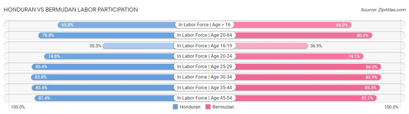 Honduran vs Bermudan Labor Participation