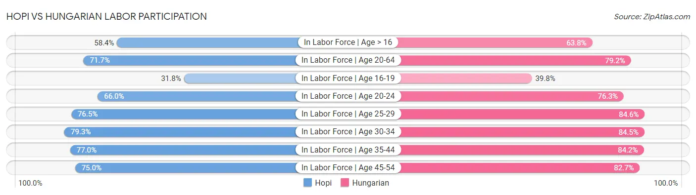 Hopi vs Hungarian Labor Participation