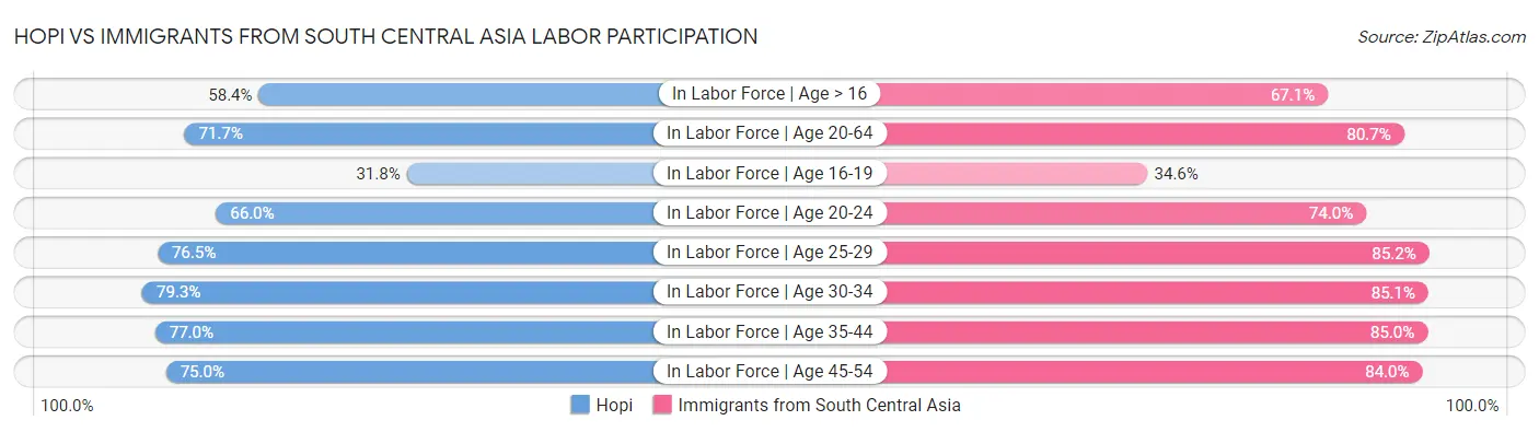 Hopi vs Immigrants from South Central Asia Labor Participation