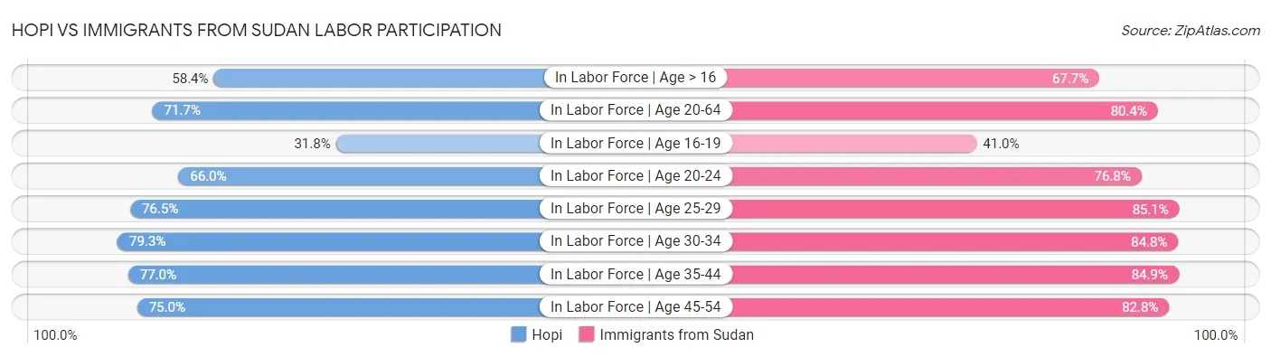 Hopi vs Immigrants from Sudan Labor Participation
