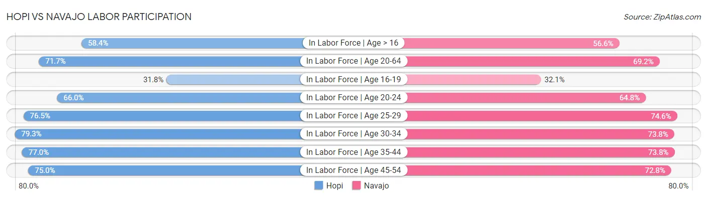 Hopi vs Navajo Labor Participation