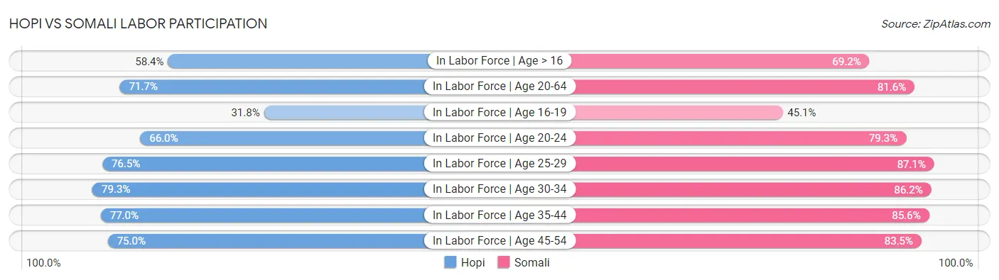 Hopi vs Somali Labor Participation