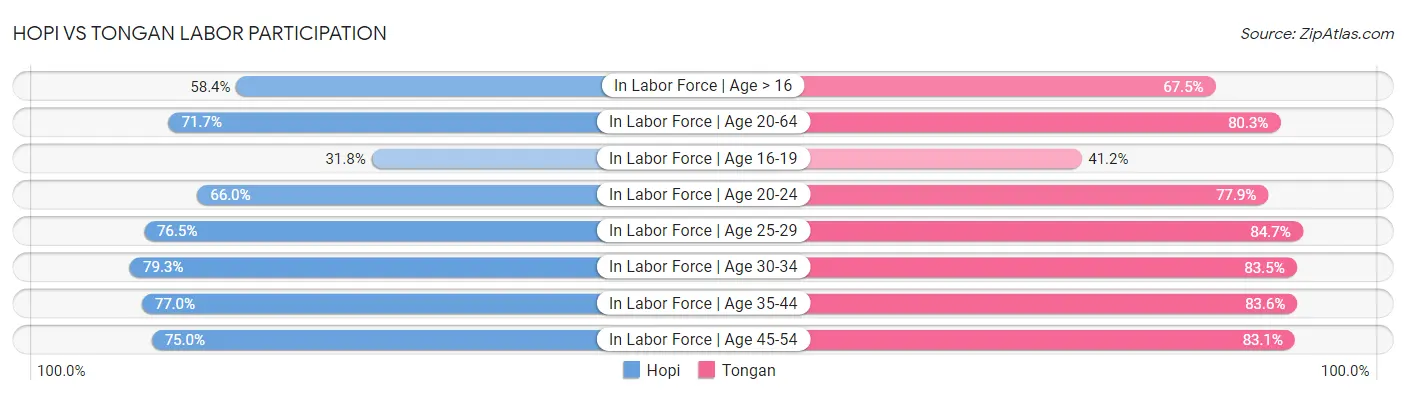 Hopi vs Tongan Labor Participation