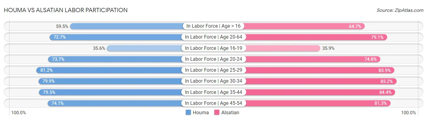 Houma vs Alsatian Labor Participation