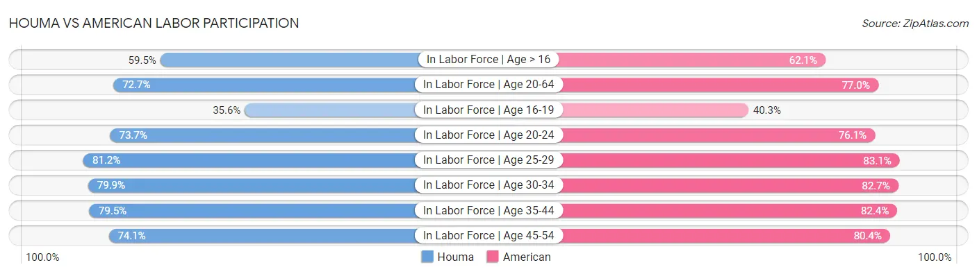 Houma vs American Labor Participation