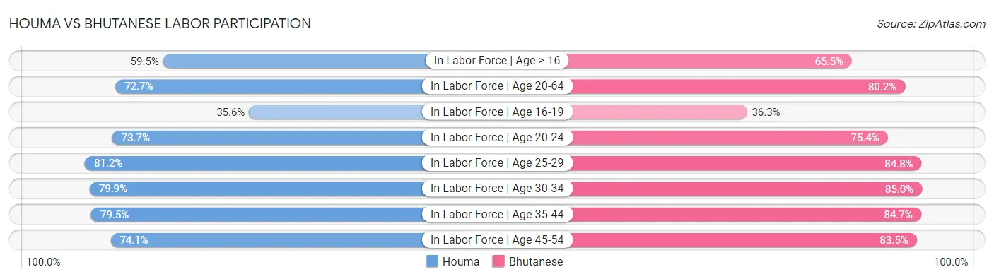 Houma vs Bhutanese Labor Participation