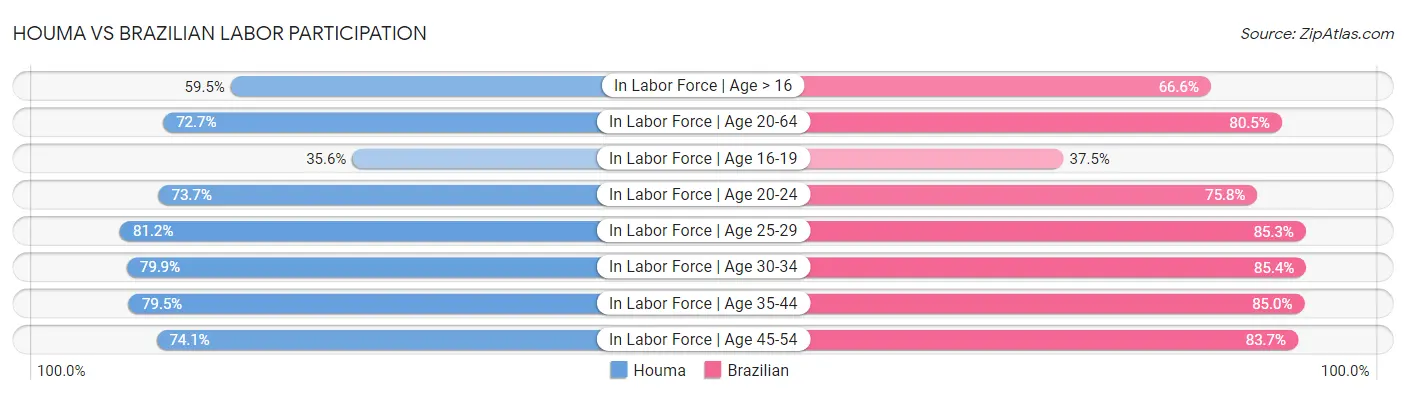 Houma vs Brazilian Labor Participation