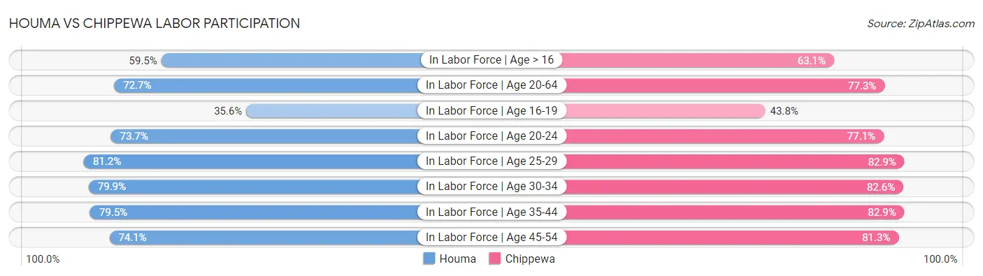 Houma vs Chippewa Labor Participation