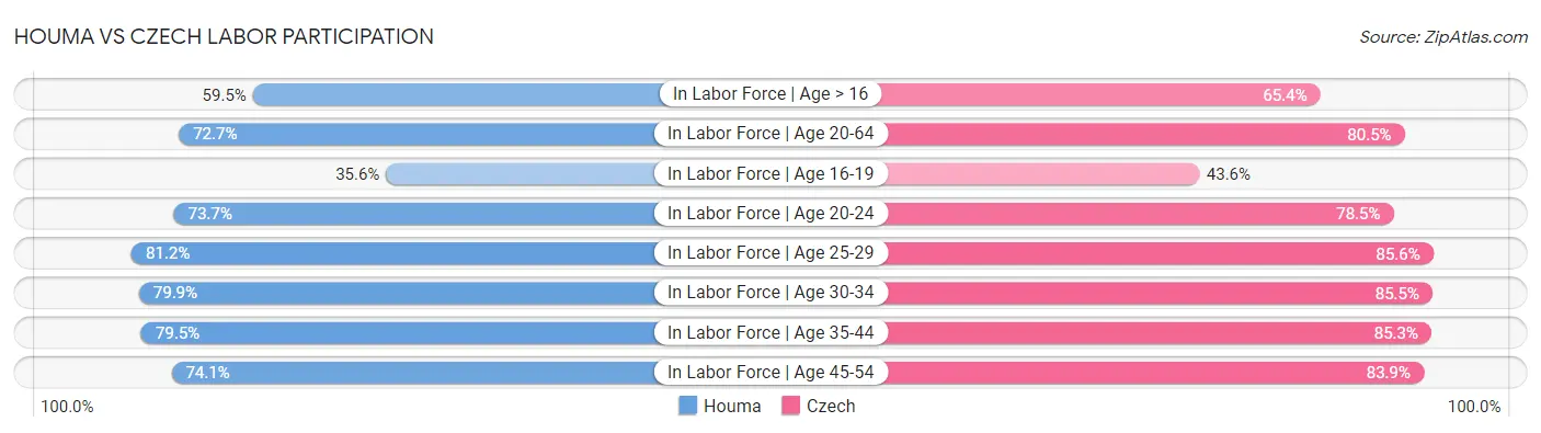 Houma vs Czech Labor Participation