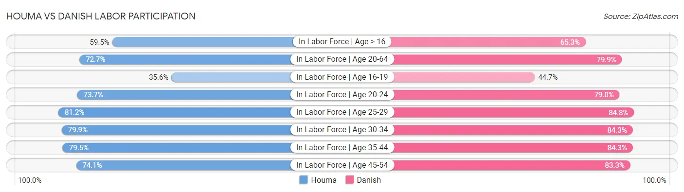 Houma vs Danish Labor Participation