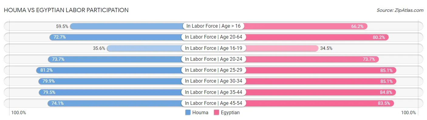 Houma vs Egyptian Labor Participation