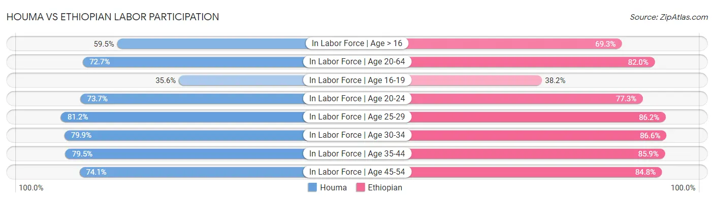 Houma vs Ethiopian Labor Participation