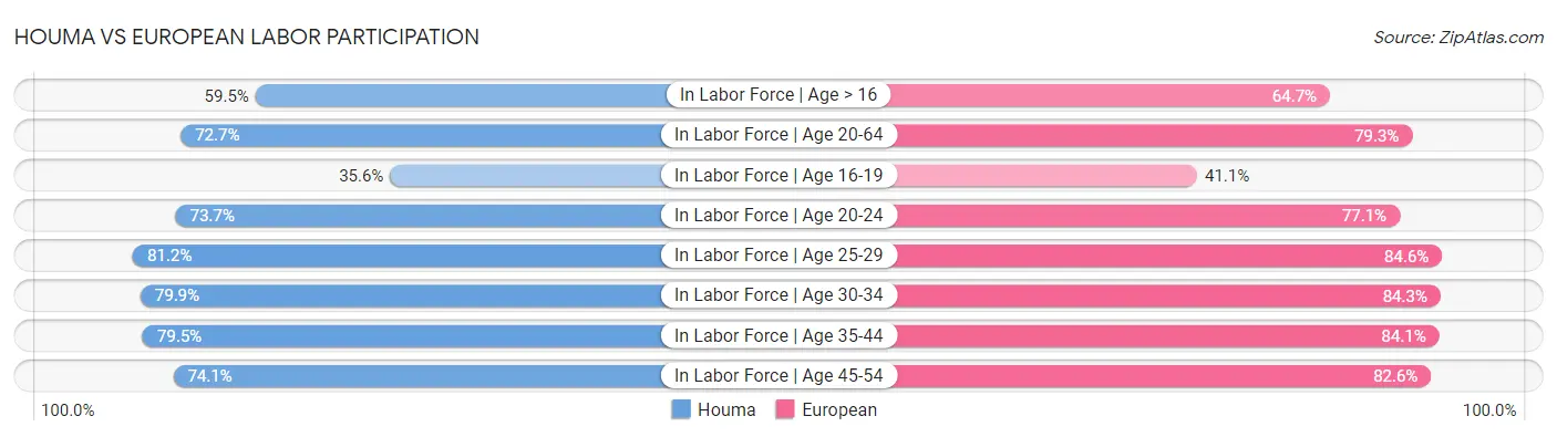 Houma vs European Labor Participation
