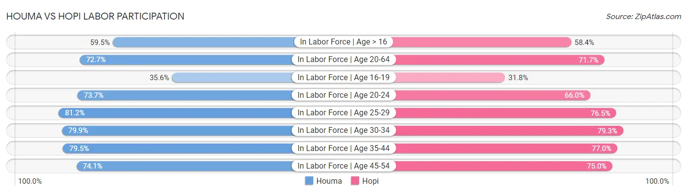 Houma vs Hopi Labor Participation