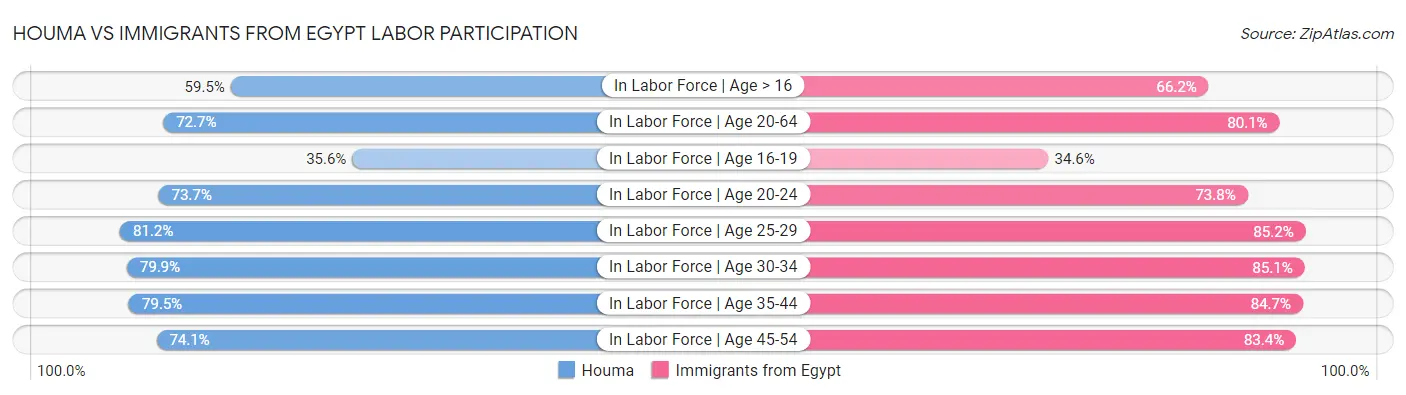 Houma vs Immigrants from Egypt Labor Participation