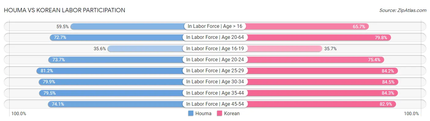 Houma vs Korean Labor Participation
