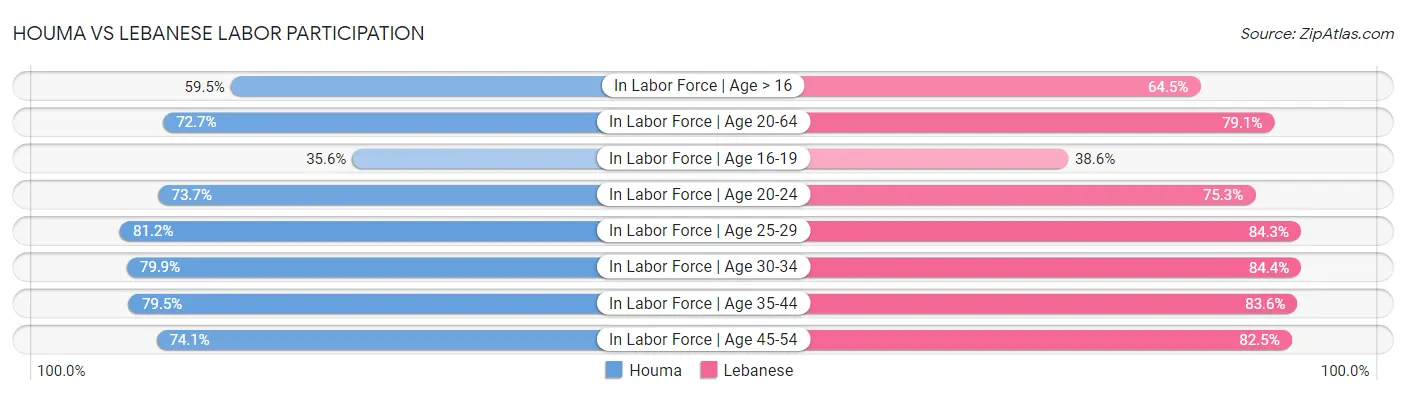 Houma vs Lebanese Labor Participation