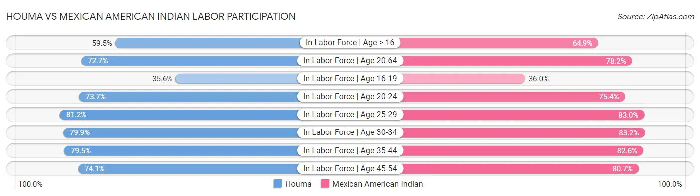 Houma vs Mexican American Indian Labor Participation