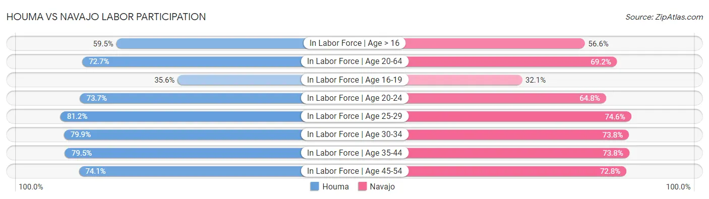 Houma vs Navajo Labor Participation