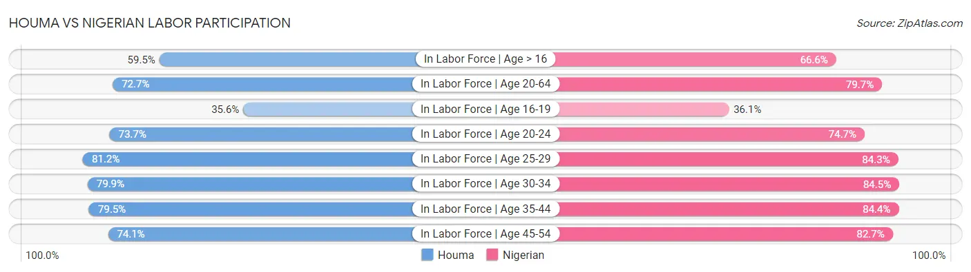 Houma vs Nigerian Labor Participation